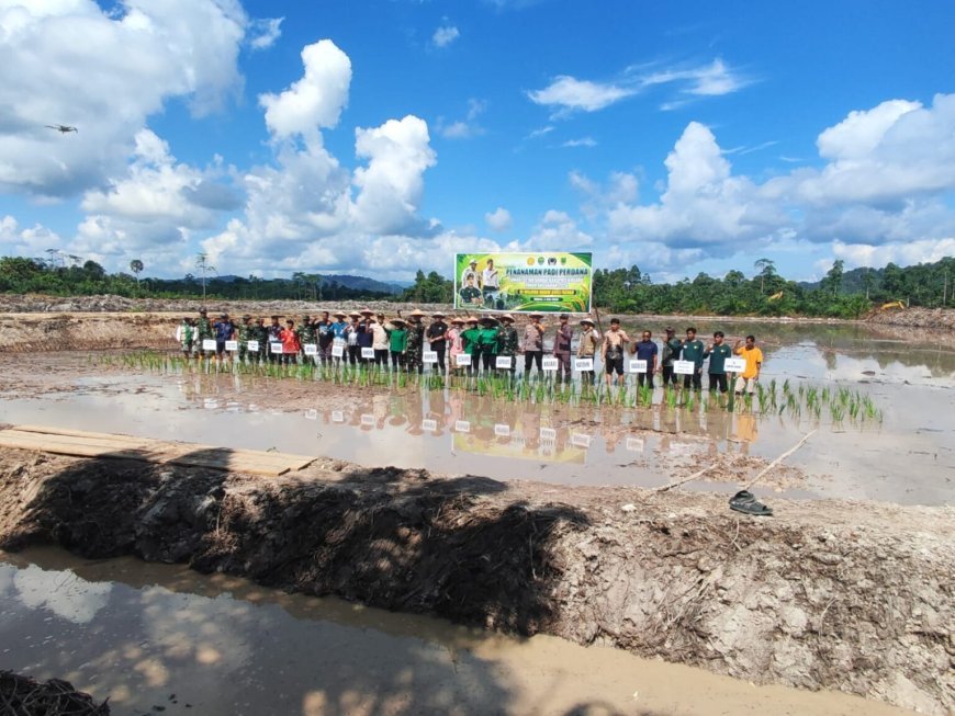 Polres Berau Gelar Penanaman Padi, Program Cetak Sawah 2026 Kembali Dimulai