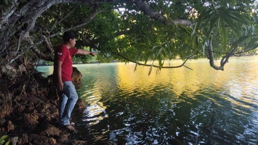 Nelayan di Maratua Berau Tewas Diterkam Buaya Saat Cari Kerang