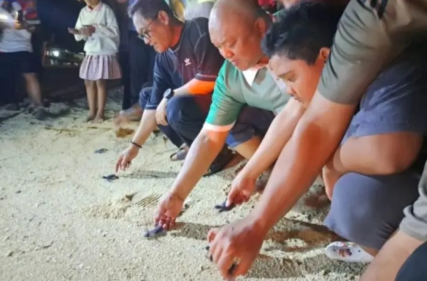Wagub Kaltim: Konservasi Penyu Jadi Magnet Baru Wisata Kepulauan Derawan