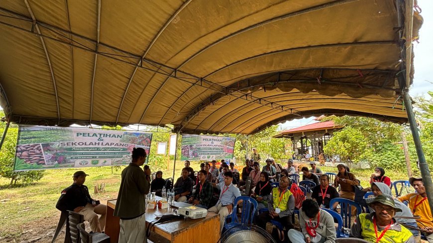 STI Gelar Sekolah Lapangan Agroforestri Kopi Liberika dan Kakao di Kabupaten Berau