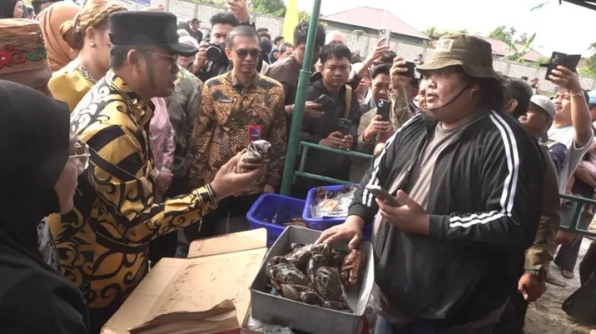 Optimalkan Potensi Daerah, Pemkab Berau Jadikan Ikan Murah Program Prioritas