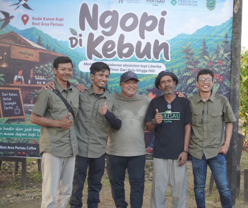 Sinergi Parisau Rest Area dan STI: Dorong Ekosistem Bisnis Kopi Liberika di Berau