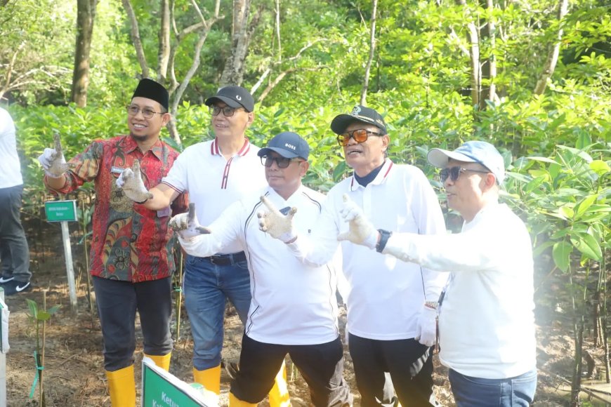 Peringati Hari Mangrove Sedunia 2026, Pemprov Kaltim Tanam 12 Ribu Bibit Pesisir di Balikpapan
