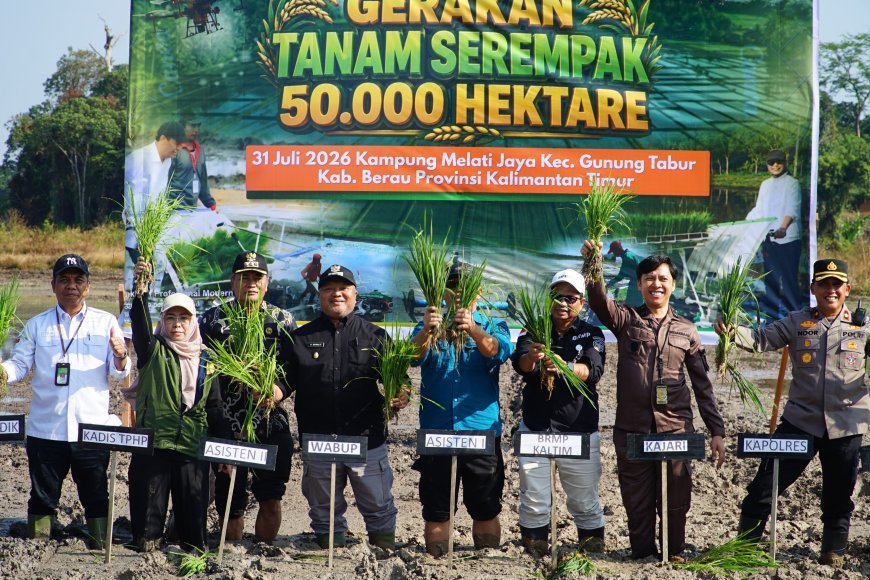 Genjot Produksi Beras, Berau Ditunjuk Mewakili Kaltim dalam Gerakan Tanam 50 Ribu Hektare