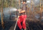 Dampak El Nino, BPBD Berau Catat 40 Hektare Lahan Terbakar dalam Seminggu