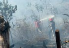 Karhutla Makin Meresahkan, BPBD Kaltim Catat 936 Ribu Hektare Lahan telah Terbakar