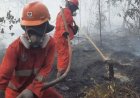 Siaga! BPBD Kaltim Terjunkan Personel Bantuan ke Berau dan Paser