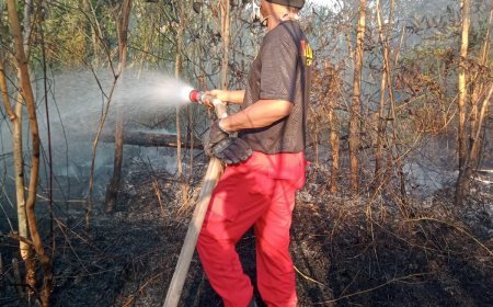 Dampak El Nino, BPBD Berau Catat 40 Hektare Lahan Terbakar dalam Seminggu