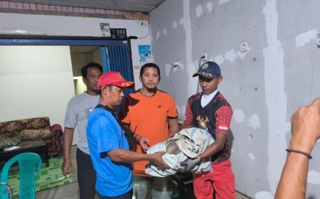 Warga Tanjung Redeb Temukan Satwa Trenggiling di Teras Rumahnya
