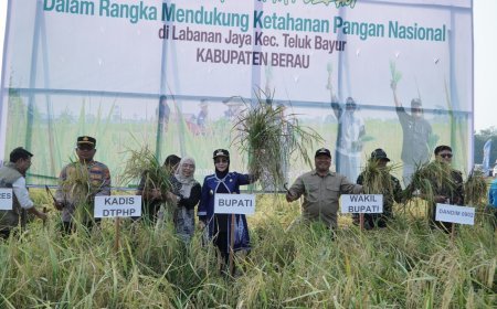 Di Tengah Kemarau Panjang, Petani Labanan Jaya Tetap Gelar Syukuran Panen Padi
