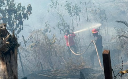 Karhutla Makin Meresahkan, BPBD Kaltim Catat 936 Ribu Hektare Lahan telah Terbakar