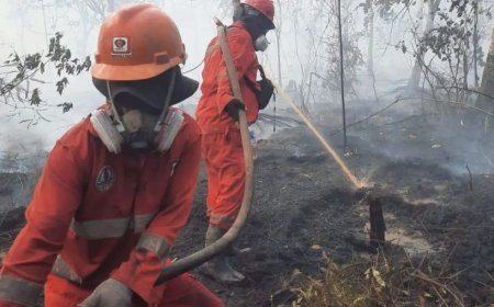 Siaga! BPBD Kaltim Terjunkan Personel Bantuan ke Berau dan Paser