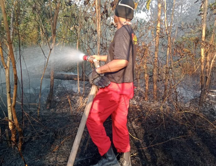 Dampak El Nino, BPBD Berau Catat 40 Hektare Lahan Terbakar dalam Seminggu