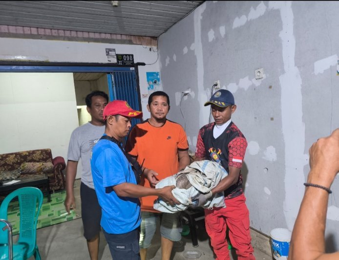 Warga Tanjung Redeb Temukan Satwa Trenggiling di Teras Rumahnya