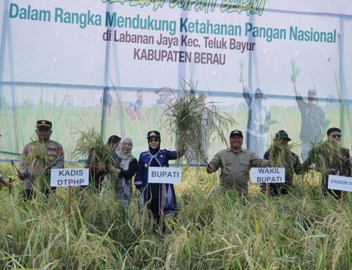 Di Tengah Kemarau Panjang, Petani Labanan Jaya Tetap Gelar Syukuran Panen Padi