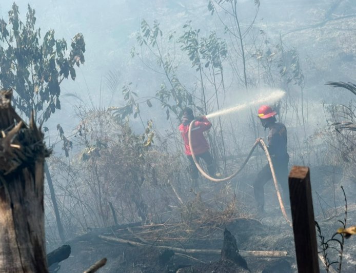Karhutla Makin Meresahkan, BPBD Kaltim Catat 936 Ribu Hektare Lahan telah Terbakar