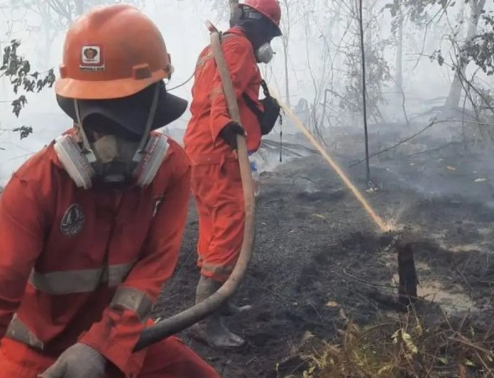 Siaga! BPBD Kaltim Terjunkan Personel Bantuan ke Berau dan Paser