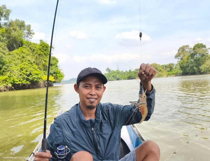 Jangan Biarkan Udang Galah Sungai Kelay Hanya Jadi Cerita Masa Lalu