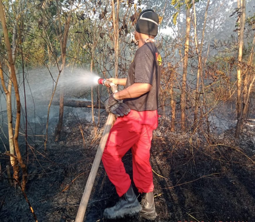 Dampak El Nino, BPBD Berau Catat 40 Hektare Lahan Terbakar dalam Seminggu