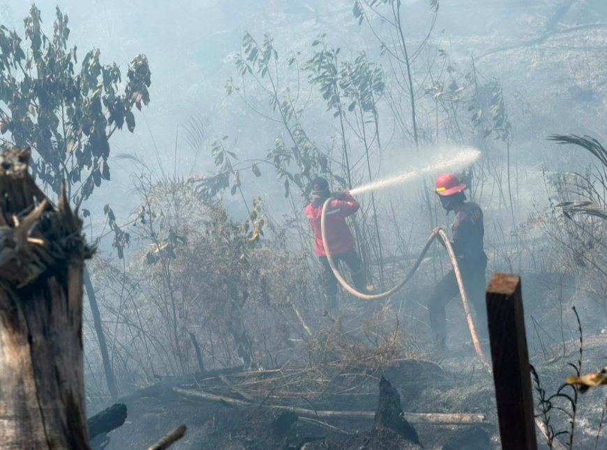 Karhutla Makin Meresahkan, BPBD Kaltim Catat 936 Ribu Hektare Lahan telah Terbakar