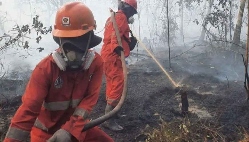 Siaga! BPBD Kaltim Terjunkan Personel Bantuan ke Berau dan Paser