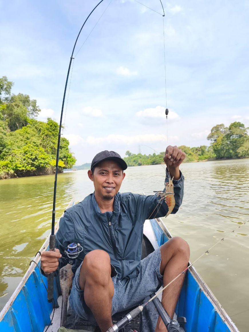 Jangan Biarkan Udang Galah Sungai Kelay Hanya Jadi Cerita Masa Lalu