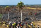 Otorita IKN dan Lintas Lembaga Perketat Pencegahan Karhutla demi Amankan Zona Inti Nusantara
