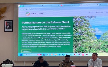 Pulihkan Lahan Bekas Tambang, Pemkab Berau Dorong Budidaya Kemiri Sudna untuk Biodiesel