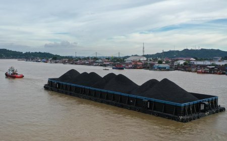 Debit Sungai Mahakam Surut, Distribusi Batu Bara dan BBM di Kaltim Terhambat