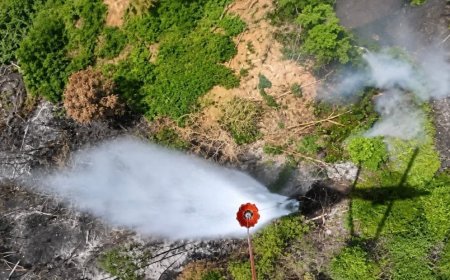 Pemadaman Karhutla di IKN, Petugas Jatuhkan 15 Kali Waterbombing,