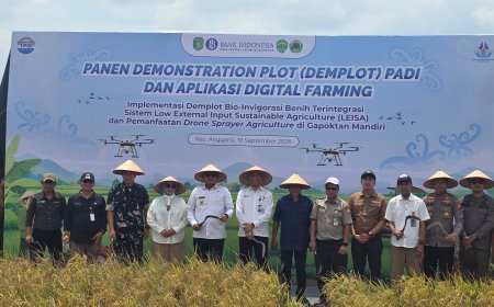 Lakukan Panen Demonstration Plot (Demplot), Pemprov Kaltim Komitmen Jaga Ketahanan Pangan