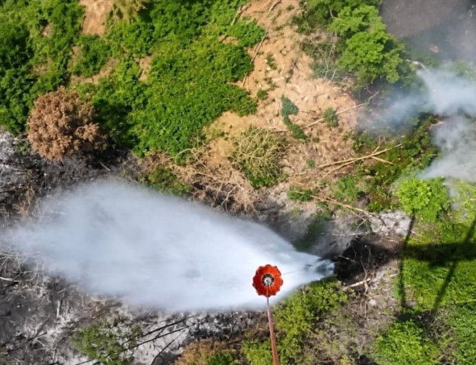Pemadaman Karhutla di IKN, Petugas Jatuhkan 15 Kali Waterbombing,