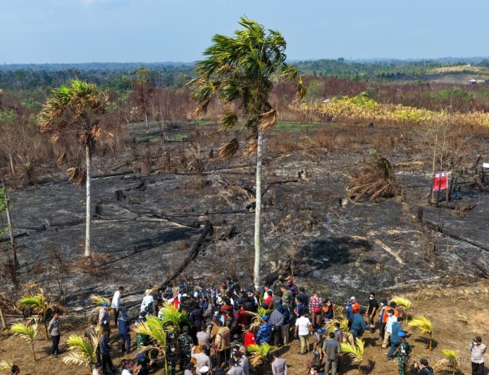 Otorita IKN dan Lintas Lembaga Perketat Pencegahan Karhutla demi Amankan Zona Inti Nusantara