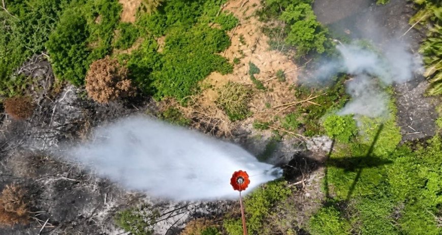 Pemadaman Karhutla di IKN, Petugas Jatuhkan 15 Kali Waterbombing,
