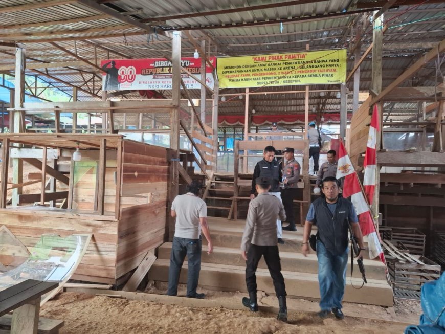 Resahkan Warga, Arena Judi Sabung Ayam di Teluk Bayur dimusnahkan oleh Aparat