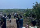 Cari Umpan Pancing di Sungai Tebru, Petani di Pasar Tewas diterkam Buaya