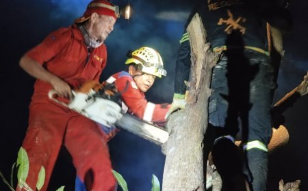 Satu Rumah Warga di Tanjung Redeb Tertimpa Pohon Akibat Angin Kencang