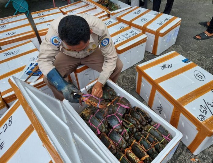 Ekspor Kepiting Kaltim Capai 85,86 Ton,  Sumbang Devisa Daerah RP 13,44 Miliar