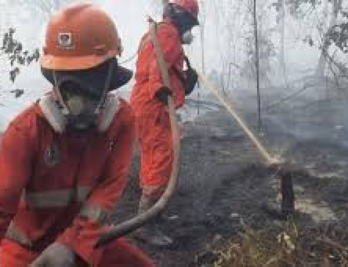 Bupati Berau Minta Penanganan Hukum Terhadap Dalang Karhutla Tidak Tebang Pilih